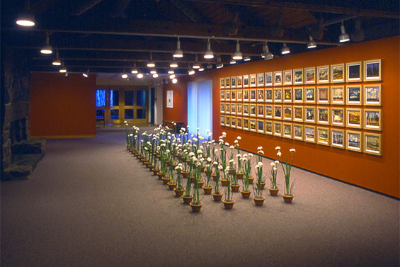 The Silence and the Storm, 1998, installation view