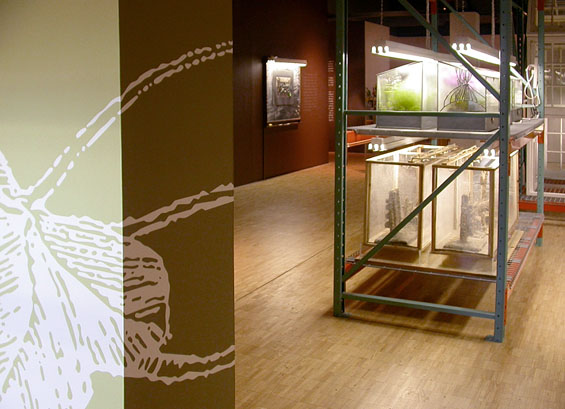 The Terrarium Project, 2006, detail (entranceway)