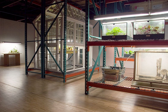 The Terrarium Project, 2006, detail (Terrarium collections on storage shelving)