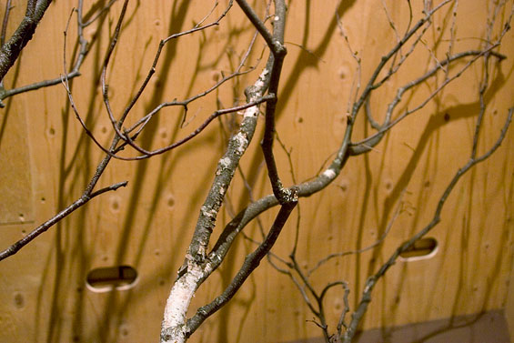Vagabond Vitrine, 2010, birch branches intersecting with back of vitrine